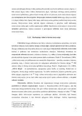 Statutinių valstybės tarnautojų motyvavimo tobulinimo modelis  8 puslapis