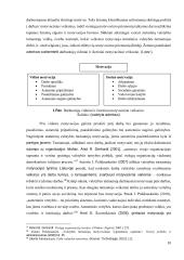 Statutinių valstybės tarnautojų motyvavimo tobulinimo modelis  9 puslapis