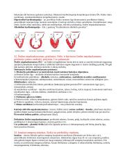 Patologijos konspektas 19 puslapis