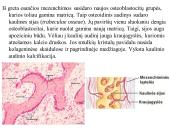 Kaulo histologija 15 puslapis