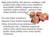 Kaulo histologija 10 puslapis