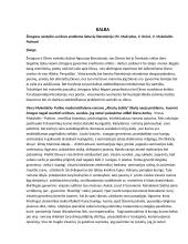 Žmogaus santykio su Dievu problema lietuvių literatūroje