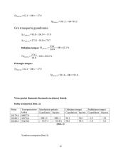 Viešojo transporto analizė 11 puslapis