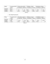 Viešojo transporto analizė 12 puslapis