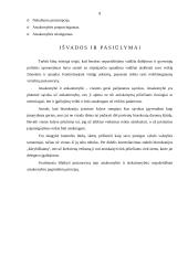 Atsakomybė ir atskaitomybė viešajame sektoriuje 8 puslapis