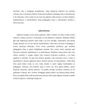 Grįžusių mokinių integracija į ugdymosi procesą 4 puslapis