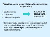 Saugus poilsis gamtoje 2 puslapis
