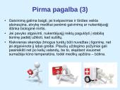 Saugus poilsis gamtoje 13 puslapis