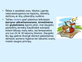 Saugus poilsis gamtoje 15 puslapis