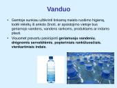 Saugus poilsis gamtoje 19 puslapis