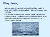 Saugus poilsis gamtoje 5 puslapis