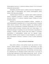 Audinių aprūpinimas deguonimi. Ypatumai jauniems ir pagyvenusiems 6 puslapis