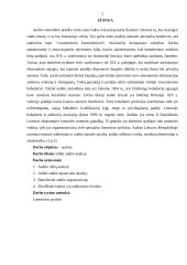 Auditas ir audito analizė 2 puslapis