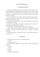 Auditas ir audito analizė 11 puslapis