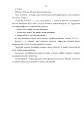 Auditas ir audito analizė 12 puslapis