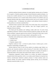 Auditas ir audito analizė 13 puslapis