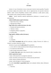 Auditas ir audito analizė 14 puslapis
