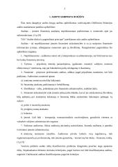 Auditas ir audito analizė 3 puslapis