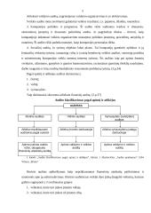 Auditas ir audito analizė 5 puslapis