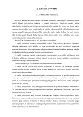 Auditas ir audito analizė 7 puslapis