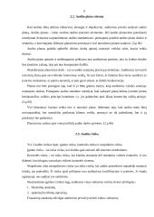 Auditas ir audito analizė 9 puslapis