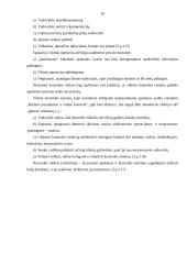 Auditas ir audito analizė 10 puslapis