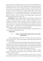 Žaidimas kaip socialinio ugdymo metodas  11 puslapis