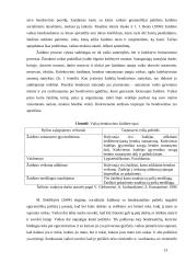 Žaidimas kaip socialinio ugdymo metodas  12 puslapis