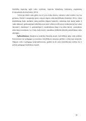 Žaidimas kaip socialinio ugdymo metodas  19 puslapis