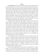 Žaidimas kaip socialinio ugdymo metodas  2 puslapis