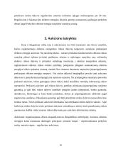 Aukcionai elektros rinkoje 18 puslapis