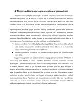 Aukcionai elektros rinkoje 19 puslapis