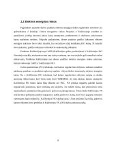 Aukcionai elektros rinkoje 8 puslapis
