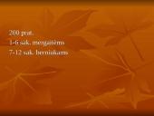 Jungtukai: ir, kad, bet, o 11 puslapis