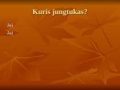 Jungtukai: ir, kad, bet, o 9 puslapis