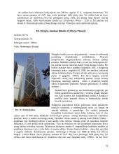 Aukščiausi pasaulio pastatai 18 puslapis