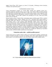 Aukščiausi pasaulio pastatai 19 puslapis