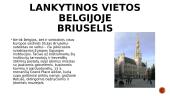 Šalies pristatymas: Belgija 6 puslapis