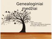Genealoginiai medžiai (skaidrės)