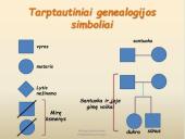 Genealoginiai medžiai (skaidrės) 6 puslapis