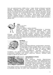 Australijos žemynas 11 puslapis