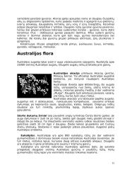 Australijos žemynas 13 puslapis