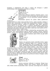 Australijos žemynas 10 puslapis