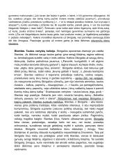 Vincas Krėvė „Skirgaila“ išsami analizė 14 puslapis