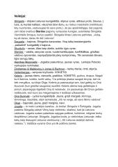 Vincas Krėvė „Skirgaila“ išsami analizė 3 puslapis