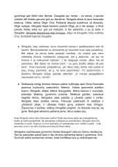 Vincas Krėvė „Skirgaila“ išsami analizė 9 puslapis