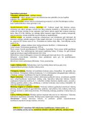  Lietuvos Respublikos rinkimų ir referendumo teisė 2 puslapis