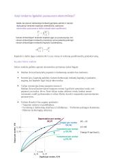 Makroekonomika - gamyba ir augimas 5 puslapis