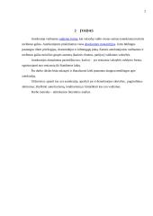 Autokratija 2 puslapis