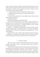 Autokratija 7 puslapis